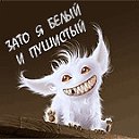 ���� ������, �����-���������, 43 ���� - ��������� 15 ������ 2010