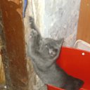 ���� �����, �������, 56 ��� - ��������� 29 ������� 2012 � ������ ������� �������