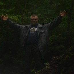 �������, ���������, 49 ���