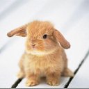 ���� ��������, ������, 22 ���� - ��������� 23 ������� 2013 � ������ ���� ����������