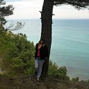 ���� ����, ���������, 34 ���� - ��������� 8 ���� 2011 � ������ ���� ����������