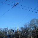  ,  -7 -  10  2012    9 ,2012.