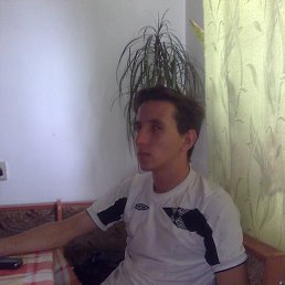 ���� ���������, �����������, 43 ���� - ��������� 1 ������ 2012