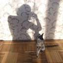 ���� Tatjana, ������, 64 ���� - ��������� 26 ������� 2012 � ������ ���� ����������