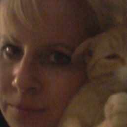 �����, �����, 40 ���