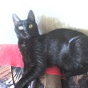 ���� ���������, �������, 64 ���� - ��������� 15 ��� 2011