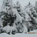 ���� �������, �����-���������, 58 ��� - ��������� 6 ���� 2011 � ������ ����� �� ����