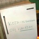 ���� Juju, �����-���������, 43 ���� - ��������� 13 ������ 2010 � ������ ������ �����