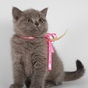  ,  , 23  -  13  2011   