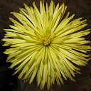  ir@ge))) ))), , 47  -  15  2010   