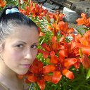 ���� �����, ������� - ��������� 25 ������� 2011 � ������ ���� ����������