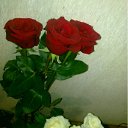  Kisa, , 42  -  9  2011    ...