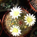 ���� ������, ������, 69 ��� - ��������� 5 ������ 2013 � ������ ���� ��������� ����������