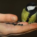 ���� �������, �������, 44 ���� - ��������� 15 ����� 2010 � ������ ������...�