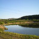 ���� Dimarik 7475, ������, 50 ��� - ��������� 6 ������ 2010 � ������ �PetLove�