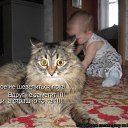 ���� �����, ��������, 40 ��� - ��������� 23 ������� 2010 � ������ �������������