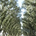 ���� ����, ������-��-����, 85 ��� - ��������� 25 ������� 2011 � ������ ���� ����������