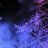 ������� � ���������� ���������� - http://vkontakte.ru/app2175066?from_id=1&loc=4ec6d178bbc6939e18bfe02e