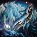  ( ), , 65  -  31  2010    ()