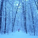 ���� �����, ������, 41 ��� - ��������� 30 ������ 2013 � ������ ����������