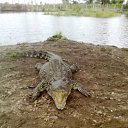 ���� Andrey, �����������, 45 ��� - ��������� 26 ������ 2011 � ������ �������