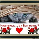 ���� ����, ������������, 56 ��� - ��������� 15 ��� 2012 � ������ �������