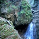 ���� ������, ������-��-����, 36 ��� - ��������� 29 ���� 2013 � ������ ��