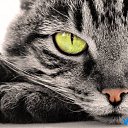 ���� �������, ������, 43 ���� - ��������� 1 ����� 2012 � ������ ���� ����������