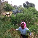 ���� Elbakal Omar, �����, 56 ��� - ��������� 29 ��� 2012 � ������ ���� ����������