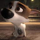 ��� �������� ������� �� ������� �������