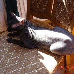 ���� ���, ������, 58 ��� - ��������� 16 ������� 2010