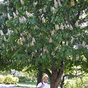 ���� ��������, ������, 36 ��� - ��������� 14 ���� 2012