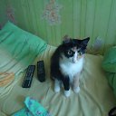 ���� �������, ������������, 38 ��� - ��������� 14 ����� 2012 � ������ ���� ����������