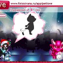     , -, 40  -  9  2010   PetLove