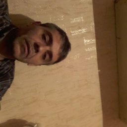 �����, ������, 54 ����