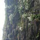 ���� ������, ������, 57 ��� - ��������� 30 ������� 2012 � ������ �������� -�������