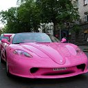 ���� �������, ��������, 33 ���� - ��������� 7 ������ 2010 � ������ ������ ������ ����� � ����