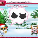 ���� �������, ������-��-���� - ��������� 28 ������ 2010 � ������ �PetLove�
