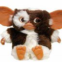 ���� Condor, ����� - ��������, 56 ��� - ��������� 27 ������ 2012 � ������ �������