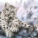 ���� �����, �������, 22 ���� - ��������� 21 ������ 2012 � ������ ���� ����������