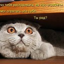 ���� M@����@, ������, 28 ��� - ��������� 15 ������� 2010 � ������ ��������
