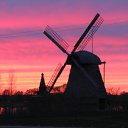 ���� ���������, ������� ��������, 39 ��� - ��������� 10 ��� 2010 � ������ �������