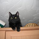 ���� ������, ������, 63 ���� - ��������� 27 ������� 2010 � ������ ���� ����-�����