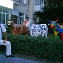  Vlad,  -  23  2012     .