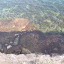 ���� ������, ������ ���, 59 ��� - ��������� 10 ���� 2012 � ������ ������ �� ����