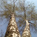 ���� Ivan, ������� - ��������� 3 �������� 2009 � ������ ���� ����������