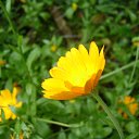  Zima,  -  12  2012   -