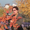 ���� �����, �������, 62 ���� - ��������� 13 ������� 2012 � ������ ���� ����������