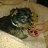 ���� �, ������, 42 ���� - ��������� 22 ������� 2011