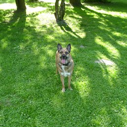 ���� �, ������ - ��������� 23 ������ 2010